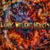 Flying Without Tickets (@sugarsnatch) Twitter profile photo Flying Without Tickets (@sugarsnatch) Twitter profile photo