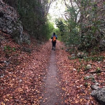 McDrenCo's profile picture. just here to watch and learn