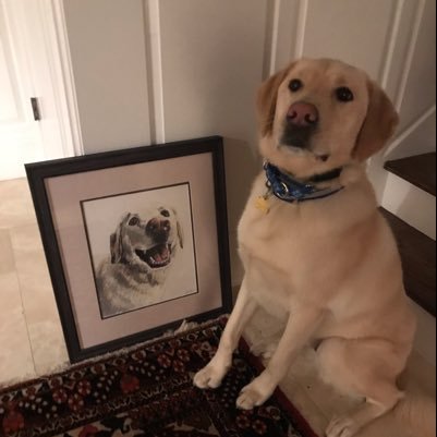 AttorneyGold's profile picture. 