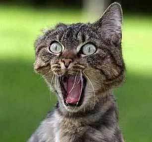 tezeutextil's profile picture. 