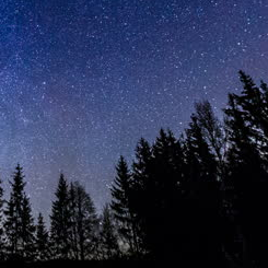 exploding1234's profile picture. 