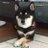 koteokan@gmail.comのアイコン