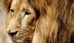 mariussificator's profile picture. 