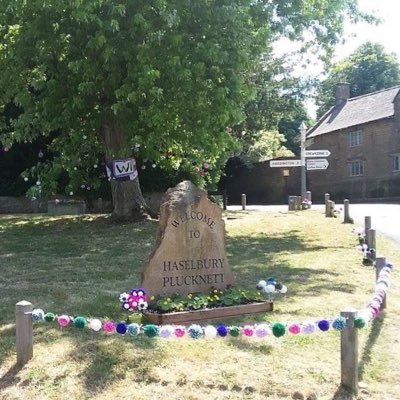 Caring about the protection of rural villages particularly Haselbury Plucknett in South Somerset