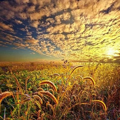 KenMwogora's profile picture. 