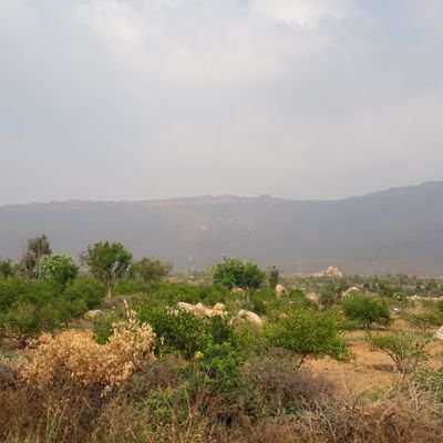 Gangadh51445735's profile picture. 