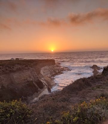 tweetthoughts__'s profile picture. Hi there! If you like Twitter, that's cool.