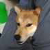 元 (@overnutrition) Twitter profile photo 元 (@overnutrition) Twitter profile photo
