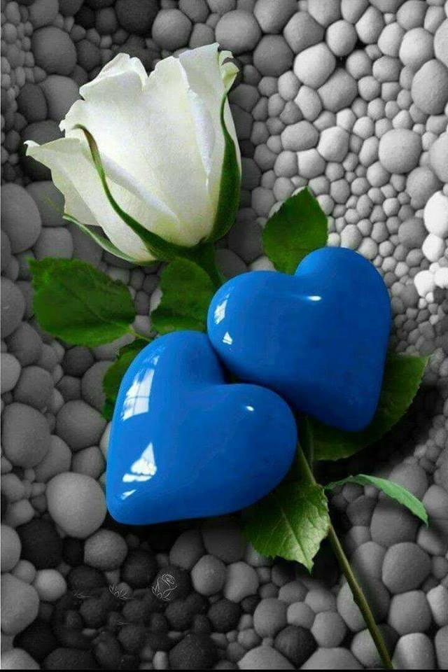 Dodocn2's profile picture. 