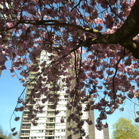 Save College Bank (@save7sis) 's Twitter Profile Photo