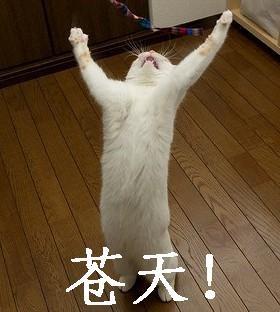 jyjsmsk's profile picture. 