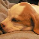 Isabella Fuller - @Bella_Fuller - Twitter