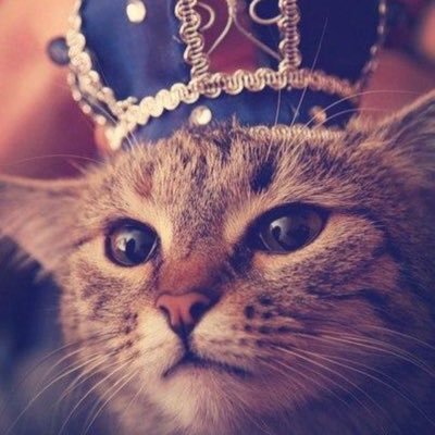 0CRPiKFrVi3JIDm's profile picture. Меня зовут Артур.