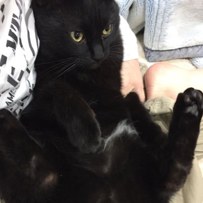 NPP0oUPGyoSYsyZ's profile picture. 