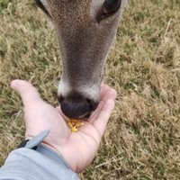 Matt_D_Dalton_THD (@matt_thd) 's Twitter Profile