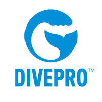 Divepro(JAUNT) Diving light-Sunday Wong(@DiveproSunday) 's Twitter Profile Photo