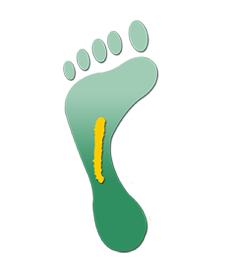 InikaSmallEarth's profile picture. A non-profit organization dedicated to implementing  school sustainability in San Diego through community involvement and action-based programs.