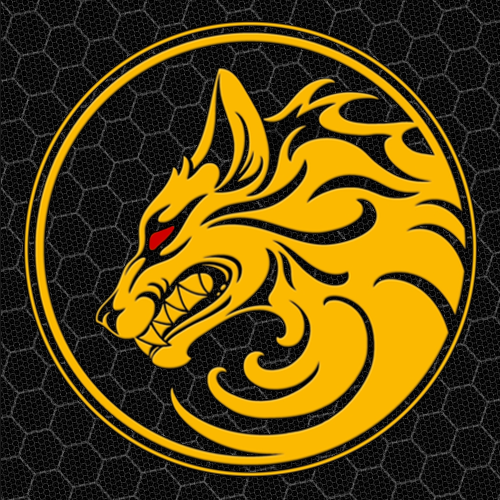 Full-Stack Software Engineer & BO3 Mod Tools Map Creator