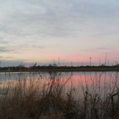 Breez94924061's profile picture. 