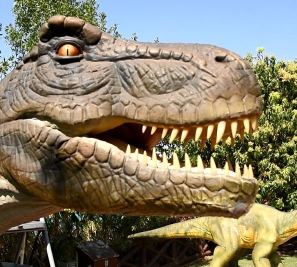Family's Adventurous Weekend🤩
India's First Dinosaur Park🦖🦕
Amusement🎡-Adventure🏹-Fun😍-Food😋
Contact:9657056570 / 9834087332