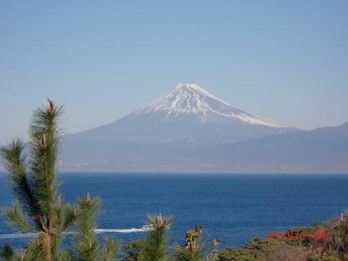 本城　直人 Profile