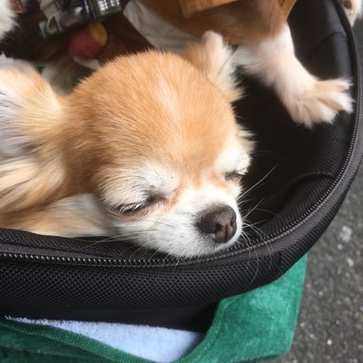 DcdpU3HOylwu9mF's profile picture. 大阪在住の某テレビ局員。アウトドア・インドア幅広く手を出し過ぎて時間が足りない‥趣味の合う人は気軽にDMを📩    ⚽️サッカー・テニス・登山 📺呪術・Fateシリーズ・まどマギ🎮モンハン・ペルソナ