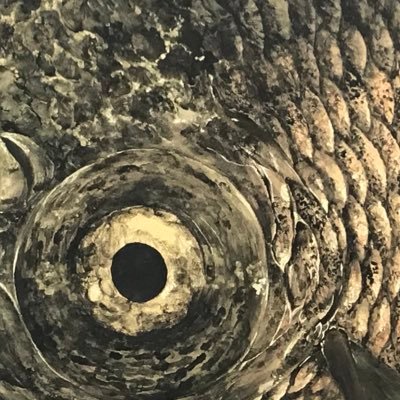 sami_ponga's profile picture. 武蔵美日本画修了