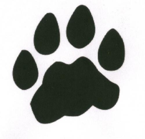 DaKat_polynesie's profile picture. Close protection officer
Tracking satellite
Sécuritée à haut risque,off road,maritime,
R&D
P C sécuritée
télé-alarme
video-surveillance