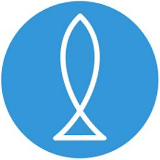 shyfishdesigns's profile picture. Established London-Based Web Design Company. We Build & Manage Websites For Small Businesses across the UK | info@shyfishdesigns.com