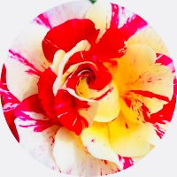 HybridFlow (@n23720487) 's Twitter Profile