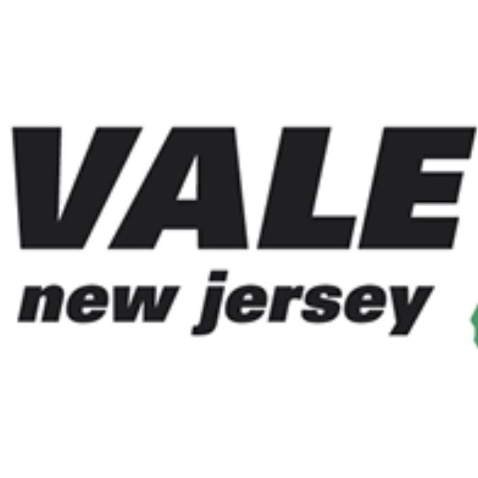VALE-NJ (Virtual Academic Library Environment of NJ)