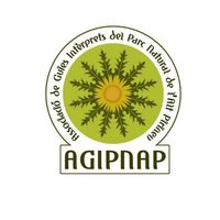 guiespnap (@guiespnap) 's Twitter Profile