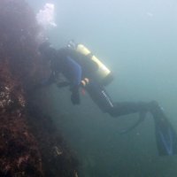 Brandon O'Brien (@obrien_algae) 's Twitter Profile Photo Brandon O'Brien (@obrien_algae) 's Twitter Profile Photo