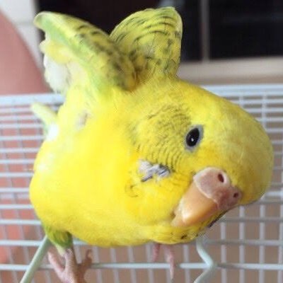 初めまして! 旅行好きです!FXとバイナリーで生計をたてています。 気になる方はLINE@登録お願いします!