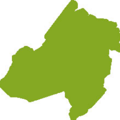 focus_morris's profile picture. 