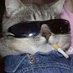 Lucy Fer (@lucydrs) Twitter profile photo Lucy Fer (@lucydrs) Twitter profile photo
