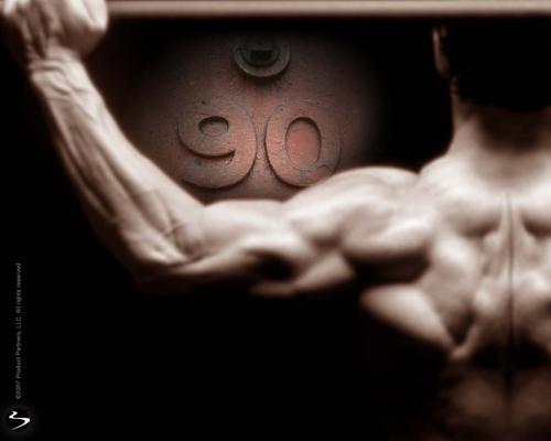 healthfreak444's profile picture. IM a health freak im a professional body builder and im a nutritionist. If your looking for advice then im you guy to go to. I can help you loose fat fast!