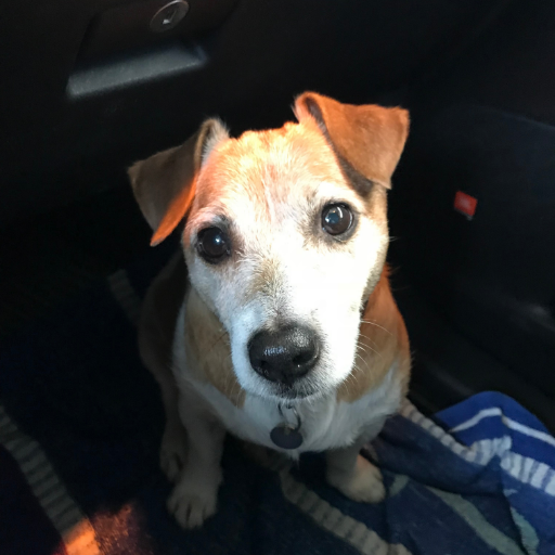 Gustav96264842's profile picture. 