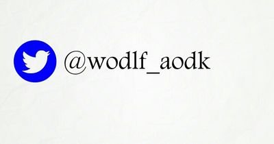 GnsP5O7GnBmXNEf's profile picture. 