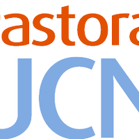 PASTORAL UCN ANTOFAGASTA (@ucnpastoral) 's Twitter Profile