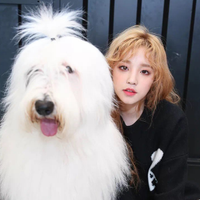 ❤️Yuqi❤️🌧️🍀☔RainJade☔🍀🌧️(@rain___jade) 's Twitter Profile Photo