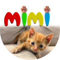 KittenMimi(@KittenMimi2019) 's Twitter Profile Photo