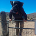 Claire Wernstedt-Lynch (@clwernst) Twitter profile photo
