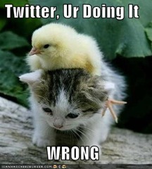 funnytwitta's profile picture. Creater of http://t.co/HMz4SjiXfc  some of the funniest twitters