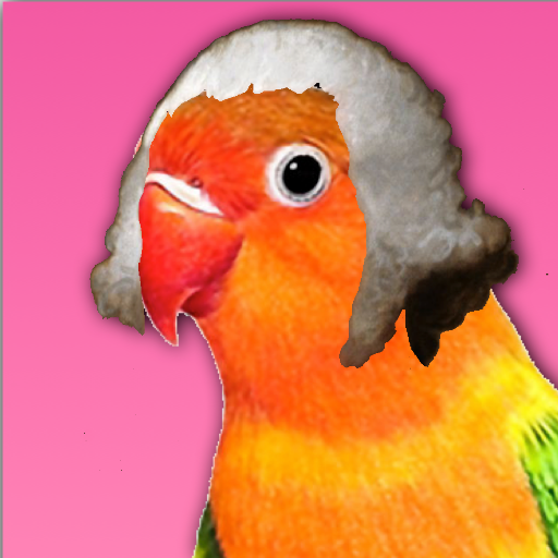 PresidentBirb's profile picture. 