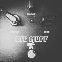 Derk (@blkbrbxr) 's Twitter Profile Photo Derk (@blkbrbxr) 's Twitter Profile Photo