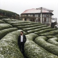 Anıl Ekinci (@ekinci_anil) 's Twitter Profile
