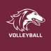 Saluki Volleyball (@siu_volleyball) Twitter profile photo Saluki Volleyball (@siu_volleyball) Twitter profile photo