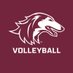 @SIU_Volleyball