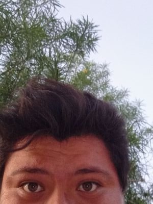 JessVar26962103's profile picture. 😎